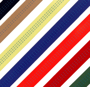 Лента текстильная 240 мм 36000 кг (синий) Лента текстильная 240 мм 36000 кг (синий)