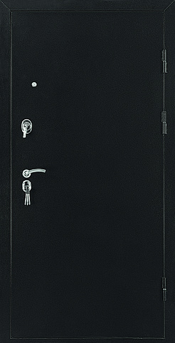 Металлическая дверь ФЛИП