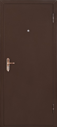 Металлическая дверь ПРОФИ BMD