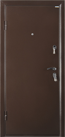 Металлическая дверь ПРАКТИК РАЦИОНАЛИСТ